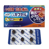 プリザ Gカプセル 24カプセル 大正製薬 いぼ痔 痔の出血・痛み・はれ【第2類医薬品】