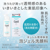Curel（キュレル）　潤浸保湿　泡ジェル洗顔料 200g 花王