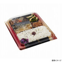 中央化学 弁当容器 CT宝台膳 23-19E 光輝R 身 00772330 1ケース(600個(50個×12))（直送品）