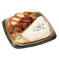 リスパック バイオ マウント 21-21 OCH RHHS690 1袋(50個)（直送品）