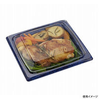 中央化学 軽食容器 CT 葵 16-16A せとDB-BK 身 00759468 1ケース(1200個(50個×24))（直送品）