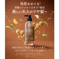 BOTANIST（ボタニスト）ルース シャンプーFI ストレート（10周年限定詰替10％増量タイプ） 440ml I-ne