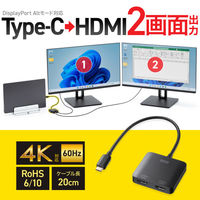 サンワサプライ USB Type CーHDMI変換アダプタ(2ポート/4K対応) AD-ALCMST2HD2 1個（直送品）