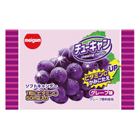子ども向けお菓子 駄菓子 チューキャン グレープ 13g 1セット（1個×40）