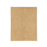 ナカバヤシ 14インチタブレット用 インナーケース タイベック ベージュ SZC-FC142406BG 1個