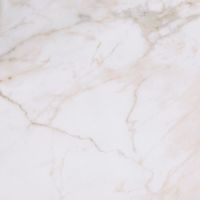 東リ 東リクラシアルタイル CLA201 ホワイトマーブル 【入数:16】 1個（直送品）