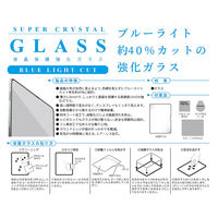 エツミ 液晶保護ガラス 2024 iPad Pro(M4) 11インチ ブルーライトカット VV-82680 1枚（直送品）