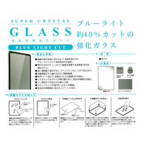 エツミ 液晶保護ガラス iPad ブルーライトカット 2024 mini VV-82729 1枚（直送品）