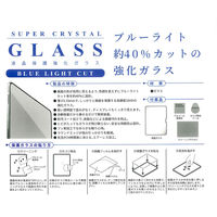 エツミ 液晶保護ガラス iPad ブルーライトカット 2022 10.9 VV-82746 1枚（直送品）