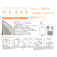 エツミ 液晶保護ガラス iPad 光沢 2022 10.9 VV-82745 1枚（直送品）