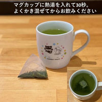 桑原園の壮太の茶 抹茶入り煎茶ティーバッグ3g×50個入 midoriTB3g6 1セット(50個入×6袋)（直送品）