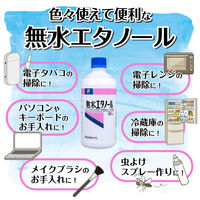 健栄製薬 無水エタノールP 400ml 1箱(20本入)