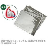 エマージェンシーシート 8567BE004 １セット（9枚入り）LOGOS/ロゴス