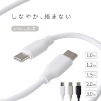 ライズクリエイション 【結束バンド付き】USBケーブル TypeーC to C ホワイト 1.0m R0496-WHITE-100 1本