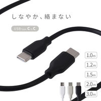 ライズクリエイション 【結束バンド付き】USBケーブル TypeーC to C ブラック 3.0m R0496-BLACK-300 1本