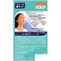 佐藤製薬 ブリーズライト　クール　レギュラー　886850 1箱（10枚入）