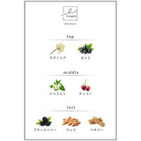 不二貿易 ピローミスト LACSA ラシサ 50ml Advance 467698 1個（直送品）