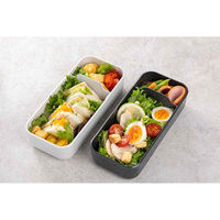 岩崎工業 弁当箱 600ml 1段 イージーケアランチボックススリム1段600 ダークグレー 473580 1個（直送品）