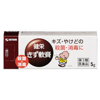 健栄きず軟膏5g 健栄製薬 きり傷、さし傷、すりむき傷、靴ずれ、やけど等の患部の殺菌・消毒【第3類医薬品】