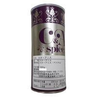 甘利香辛食品 CA スターアニス 100g 35002 1缶（直送品）