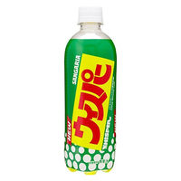 【アウトレット】日本サンガリア サンガリア ウィスパー 500ml 1箱（24本入）