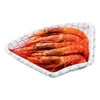 中央化学 刺身容器 扇折 101 青網目 両 00696899 1ケース(1200個(50個×24))（直送品）