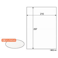 ヒサゴ プリンター用紙 クラッポストライプ/ピュアホワイト 10枚入 CP06S 1ケース(5個(1個×5))（直送品）