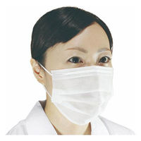 ファーストレイト 衛生資材 FR-5326 e使いきり2層マスクさらっとタイプ 100枚入 1ケース(60個(1個×60))（直送品）