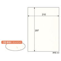 ヒサゴ プリンター用紙 サステナブルクラッポ 野菜(ニンジン) 10枚入 FSCSC09S 1ケース(5個(1個×5))（直送品）