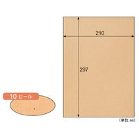 ヒサゴ プリンター用紙 サステナブルクラッポ ビール 10枚入 FSCSC10S 1ケース(5個(1個×5))（直送品）