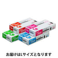 リーブル ニトリルP.F. ベーシック ブラック パウダーフリー L No.2089 1箱（100枚入）
