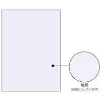 ヒサゴ プリンター用紙 マルチプリンタ帳票 コピー偽造予防用紙 浮き文字タイプ A4両面 100枚入 BP2110 1ケース(1個)（直送品）