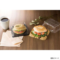 スミ エスコンFLN-55-10 透明蓋 2N55211 1袋(100個)（直送品）