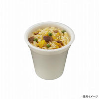 中央化学 スープカップ TPグラカップ M100 IV 身 00772343 1ケース(600個(40個×15))（直送品）