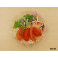 リスパック 冷麺容器 バイオ M 中 本体 PABS421 1ケース(900個(50個×18))（直送品）