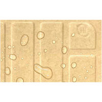 中央化学 紙トレー ナチュラルペーパートレー15-27 未晒 00773691 1ケース(800個(50個×16))（直送品）