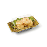 リスパック バイオPET うつくし盛 1-3 OC RRB4047 1ケース(1200個(50個×24))（直送品）