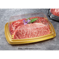 リスパック オードブル容器 バイオ パティブル角 24-19B 3S 黒 FPBR548 1ケース(400個(50個×8))（直送品）