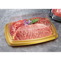 リスパック バイオ パティブル角 24-19 OC FPBR555 1袋(50個)（直送品）