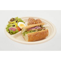 パックスタイル パルプモールド MB丸プレート250-3 00785915 1ケース(600個(50個×12))（直送品）