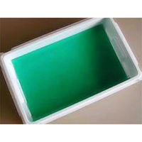 日本紙パルプ商事 保鮮紙 グリーンパーチ 1/4切 00749315 1ケース(40000個(1000個×40))（直送品）