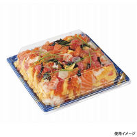 中央化学 寿司容器 鮮鋭 9-3 スパークルB 身 00762145 1袋(50個)（直送品）