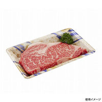 中央化学 発泡トレー 美栄え桶 25-15 ゼファーIV 00770275 1ケース(1000個(50個×20))（直送品）