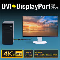 サンワサプライ  DVI-DisplayPort変換アダプタ（4K/30Hz） AD-DVDP01（直送品）