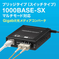 サンワサプライ  光メディアコンバータ（ギガビット対応・ブリッジ・マルチモード） LAN-EC212CB（直送品）