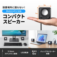 サンワサプライ  コンパクトPCスピーカー（USB電源） MM-SPL23UBK（直送品）