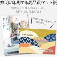 ハガキ 用紙 50枚入り スーパーファイン紙 厚手 【お探しNo:L56】 ホワイト EJH-WSFN50 エレコム 1個（直送品）