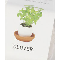 栽培キット　エッグリング クローバー LAKOLE/ラコレ
