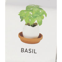 栽培キット　エッグリング バジル LAKOLE/ラコレ