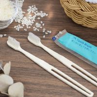 インスタントハブラシ バイオマス 1箱（20本）キャリン